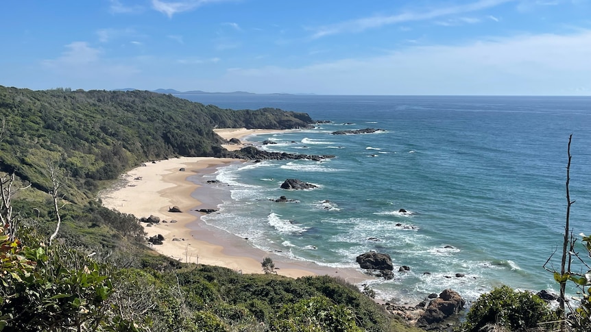 The coastal walkway in Port Macquarie - bush and ocean