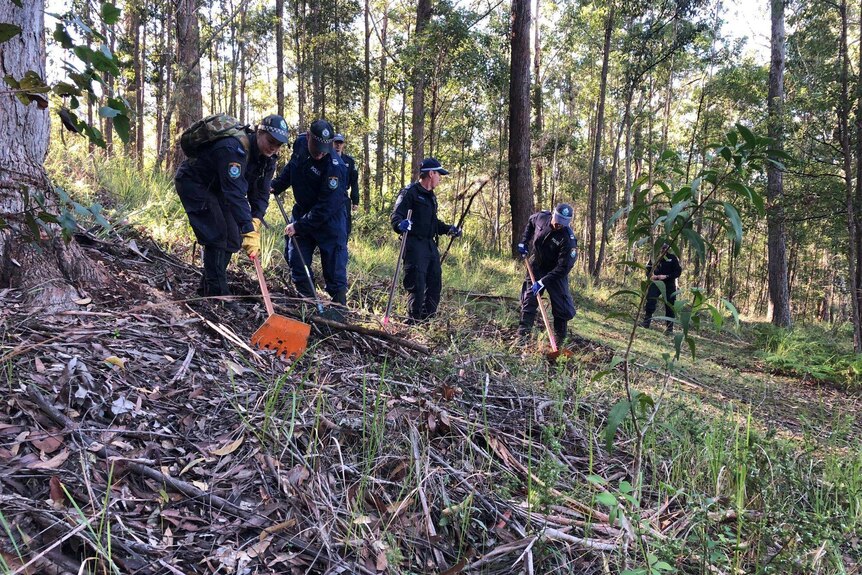 Police search a woodland area.