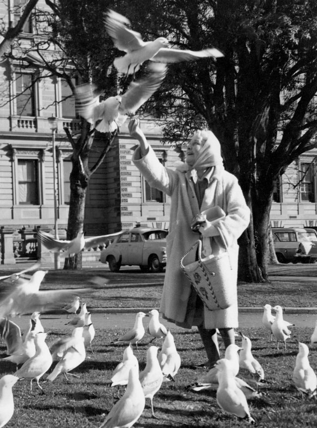 A photo of a older woman throwing food for seagulls into the air