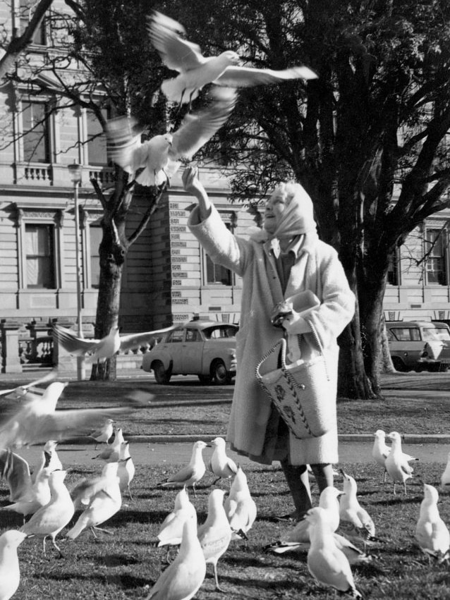 A photo of a older woman throwing food for seagulls into the air