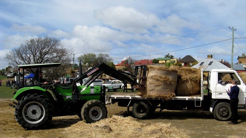 Emergency fodder supplies being delivered to farmers at Oatlands, Tasmania.