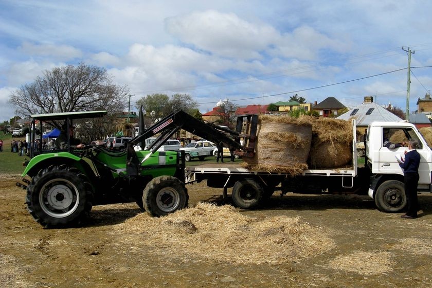 Emergency fodder supplies being delivered to farmers at Oatlands