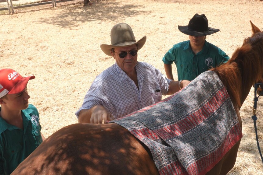 man putting on saddle blanket on a horse 