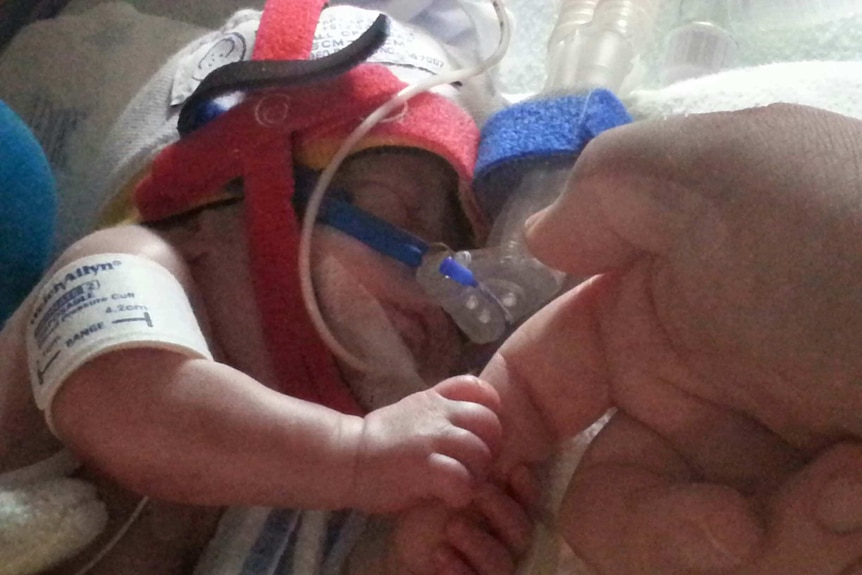 A hand holds the fingers of premature Tasmanian baby Eli Wood.