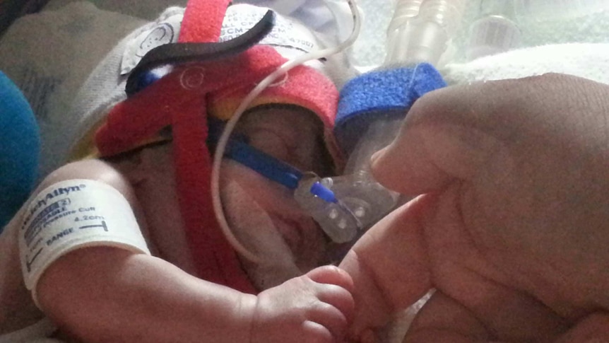 A hand holds the fingers of premature Tasmanian baby Eli Wood.