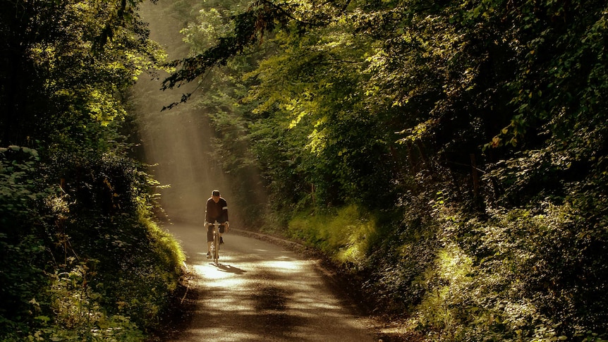 A man rides along a lane in the Sussex weald, near Burwash. Light filters through the trees.