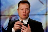 Elon Musk looks down at his smartphone.
