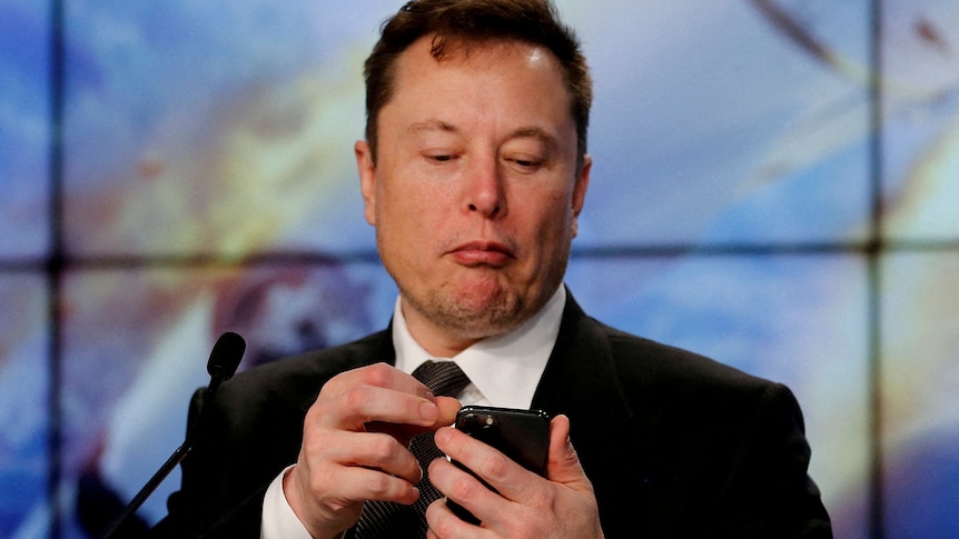 Elon Musk considers paying less for Twitter as fake account doubts grow