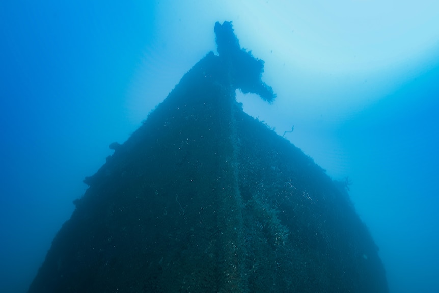 The bow of a World War II shipwreck.
