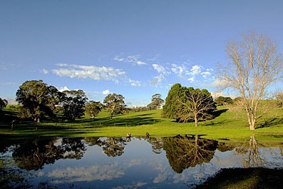 Green farming land at Yankalilla to the south of Adelaide, 2007