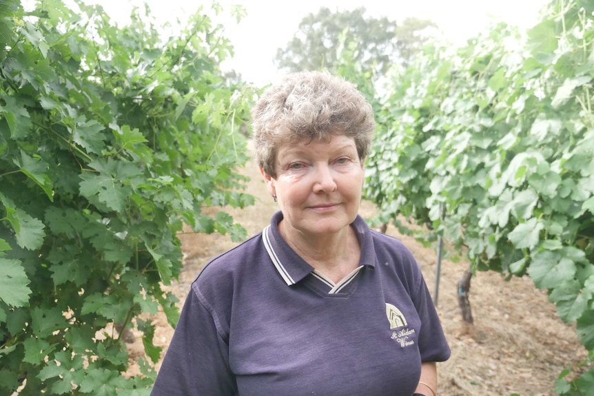 St Aidan Wines owner Mary Smith stands in her vineyard in WA's South West region