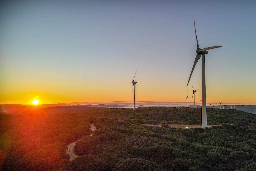 A pic of a coastal wind farm with a sun setting in the background