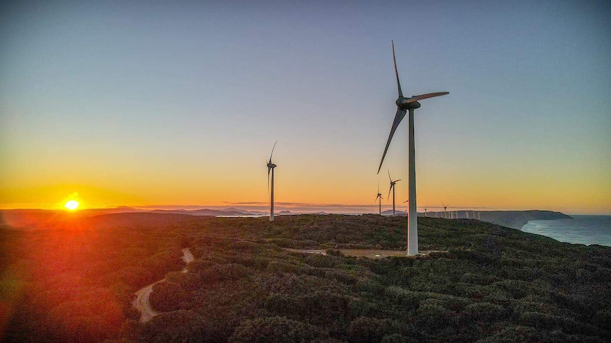A pic of a coastal wind farm with a sun setting in the background