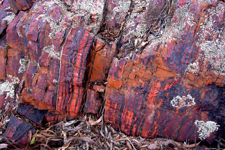 Close-up of banded rock.
