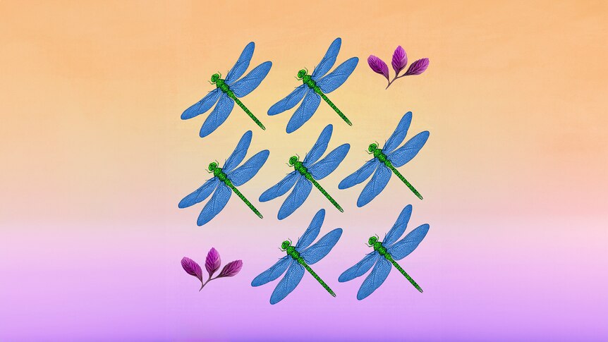 Blue and green dragonflies on a purple and orange background.