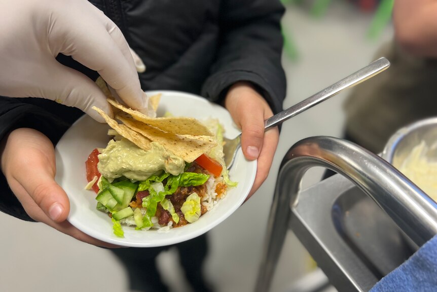 a closeup of a gloved hand placing taco chips on top of a bowl of beans, salad and guacamole.
