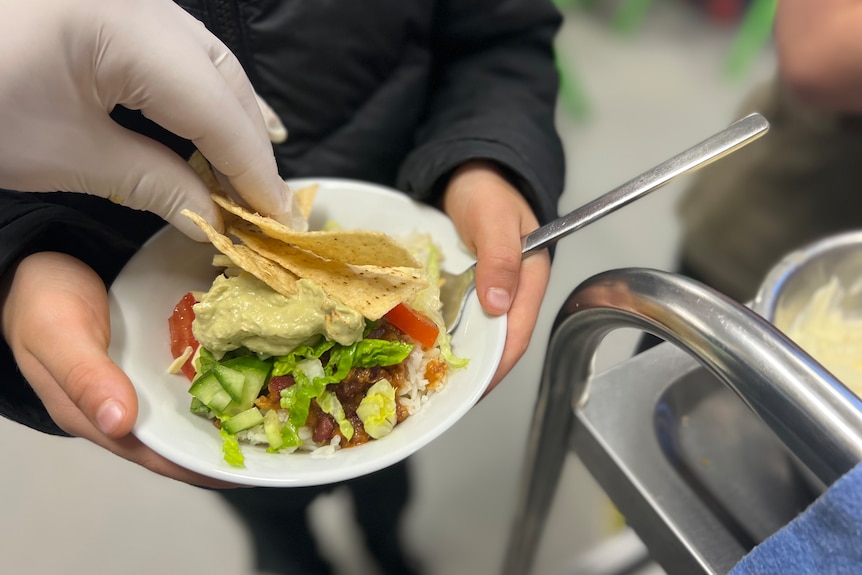 a closeup of a gloved hand placing taco chips on top of a bowl of beans, salad and guacamole.