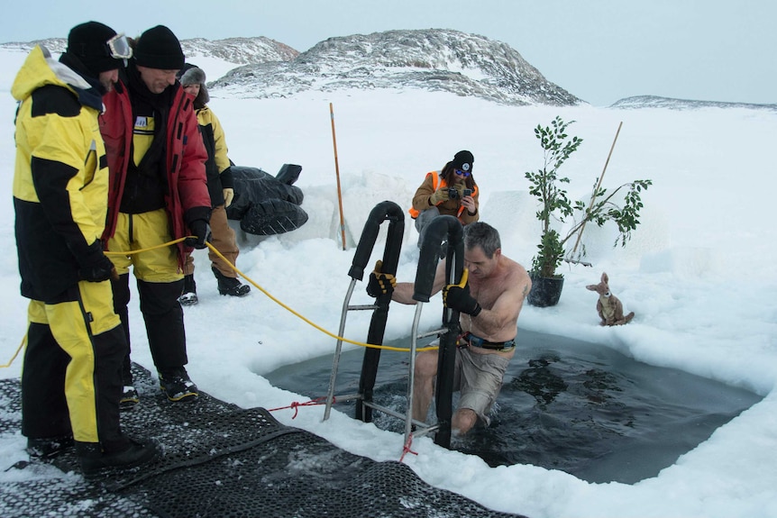 Antarctic swim