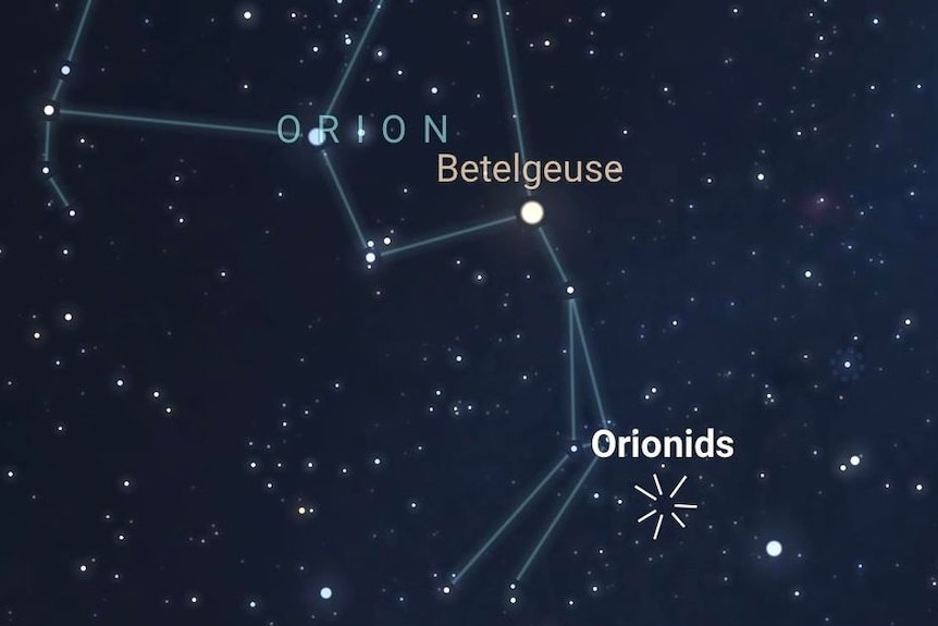 A constellation map of the Orionids that also shows where it is in relation to Betelgeuse