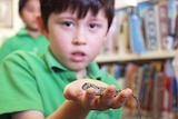 A child from Bonython Primary School holds earless dragon.