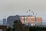 Birds fly over a massive container ship with thousands of containers on board.