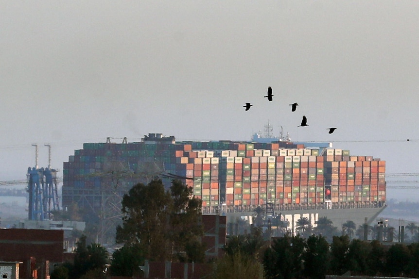 Birds fly over a massive container ship with thousands of containers on board.