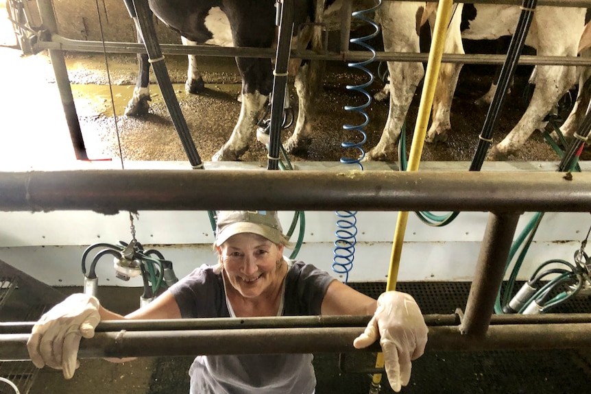 Karen Paulger looks up at the camera from the dairy pit.
