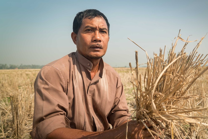 Nurdin, a farmer, squats in a very dry rice field