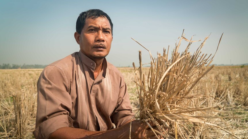 Nurdin, a farmer, squats in a very dry rice field