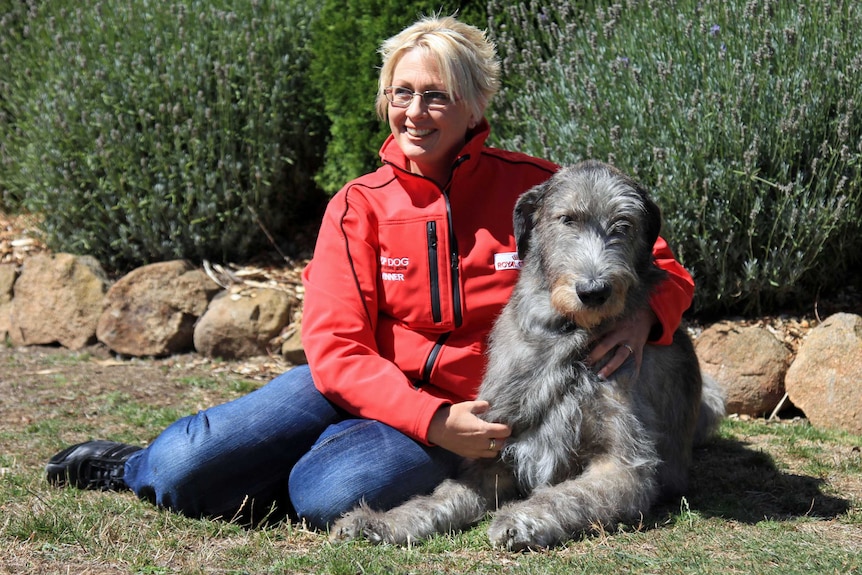 Errol the Irish wolfhound with Kristy Pearcey