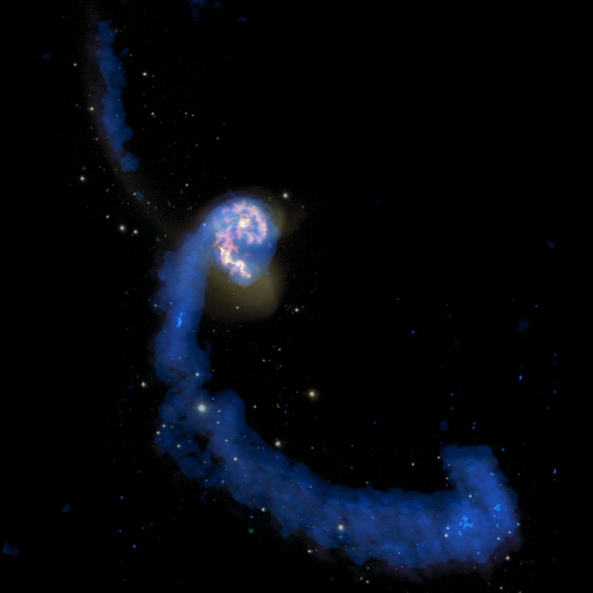 This multiwavelength image of a colliding pair of spiral galaxies called the Antennae displays a history of star-making.