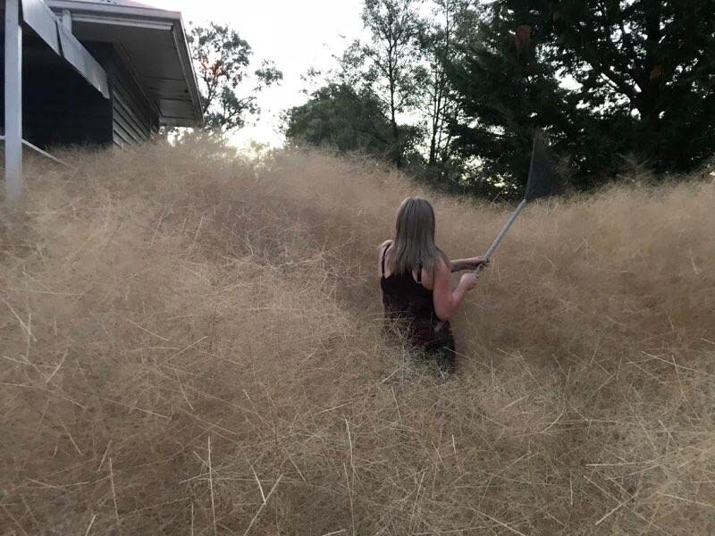A woman standing in tall grass surrounding her home.