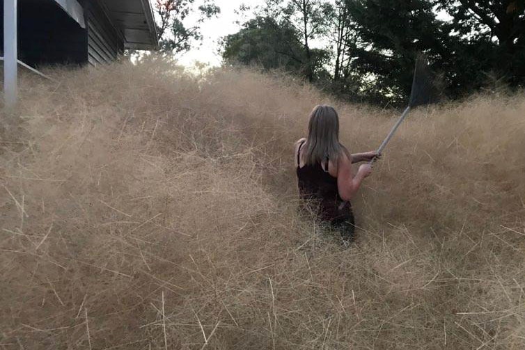 A woman standing in tall grass surrounding her home.