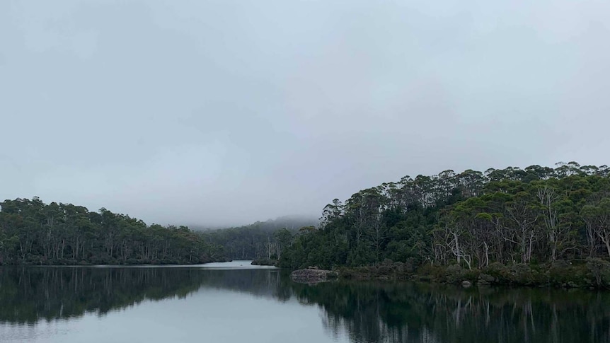 A picturesque lake on a cloudy day. The far horizon is slightly obscured by fog, but trees are visible closer to the forefront