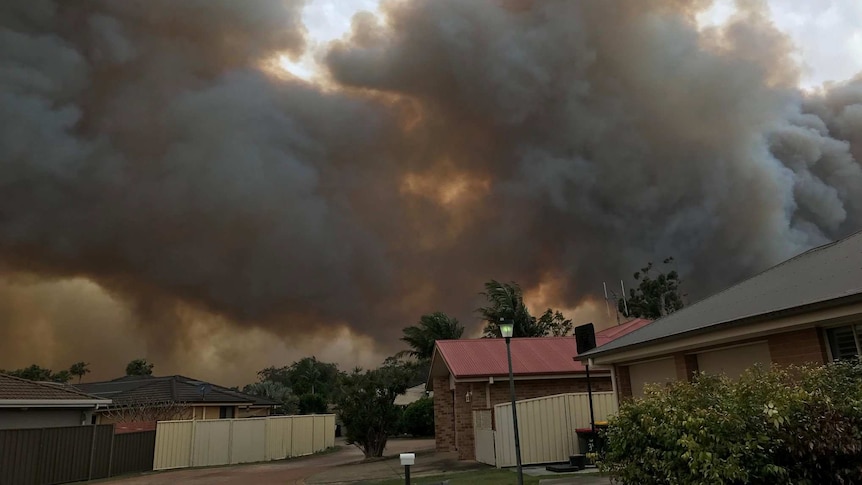 Smoke from a bushfire rises into the sky above houses in northern NSW.