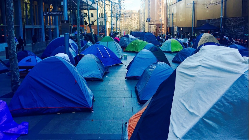 Dozens of tents erected in Martin Place.
