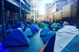 Dozens of tents erected in Martin Place.