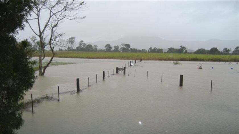 Inundated: Floodwaters near Yandina Creek on the Sunshine Coast