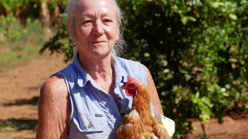 A woman holds a brown chicken