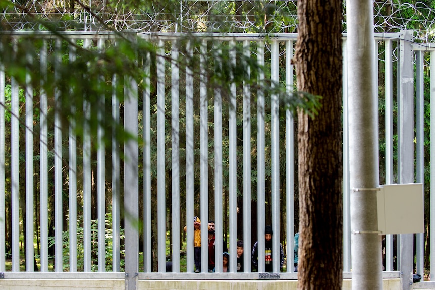 A family can be seen in the distance behind the steel fence. 