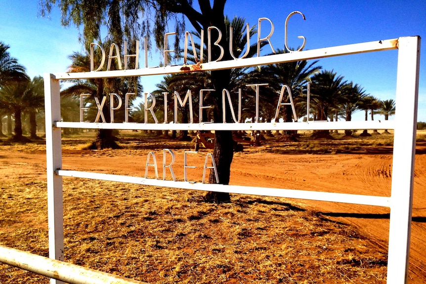 Sign at the gate of the date plantation at Dahlenburg research block in the Northern Territory.