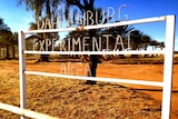 Sign at the gate of the date plantation at Dahlenburg research block in the Northern Territory.