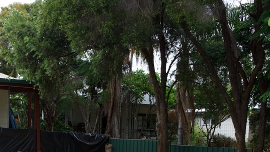 Floodwaters inundate St George front yard