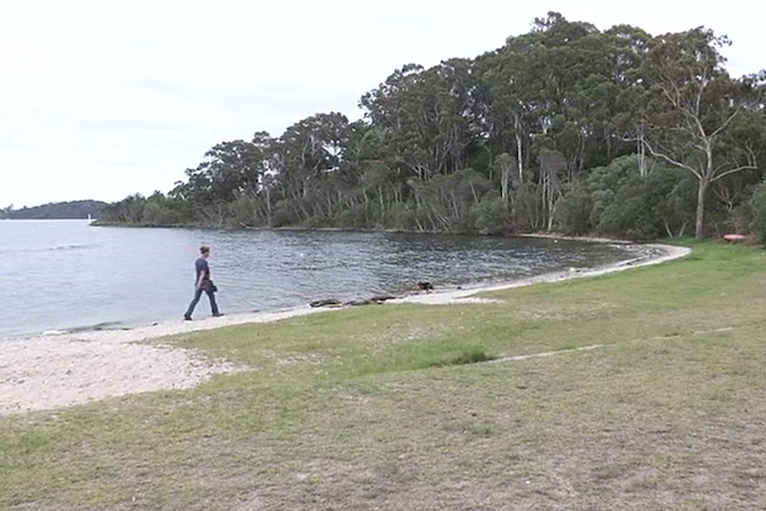 A woman walks her dog at Sunset Cove in Paynesville.