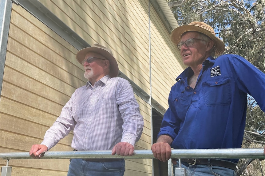 Two men in hats stand at a railing outside a bird hide. 