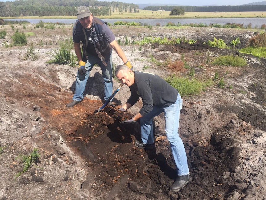 The peat bog on Richard Hughes' farm