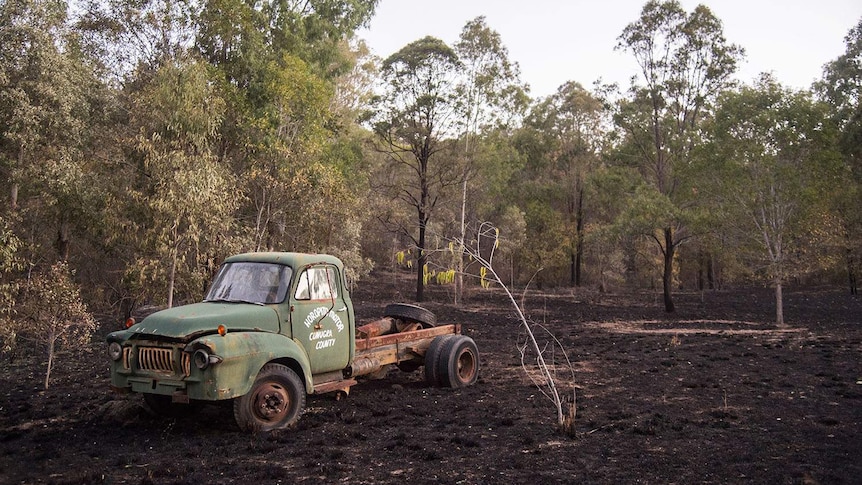 A burnt out paddock with a damaged old truck after bushfires near Lamington National Park Road at Canungra.