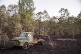 A burnt out paddock with a damaged old truck after bushfires near Lamington National Park Road at Canungra.