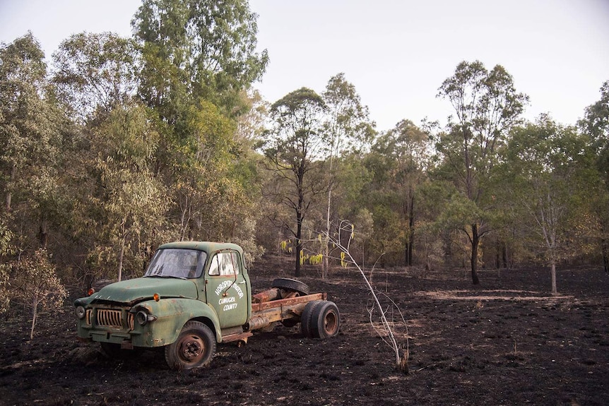 A burnt out paddock with a damaged old truck after bushfires near Lamington National Park Road at Canungra.