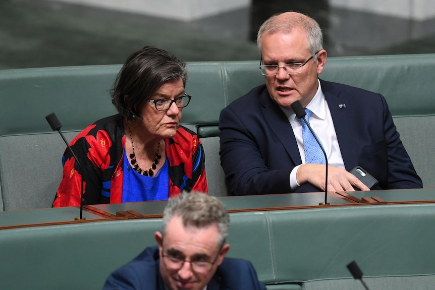 Cathy McGowan in red and black floral jacket and black-rimmed glasses leans forward while talking Prime Minister Scott Morrison